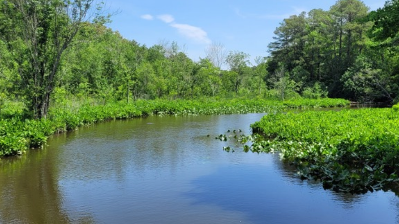 Cross-border forest preserve protects 181 acres across US states