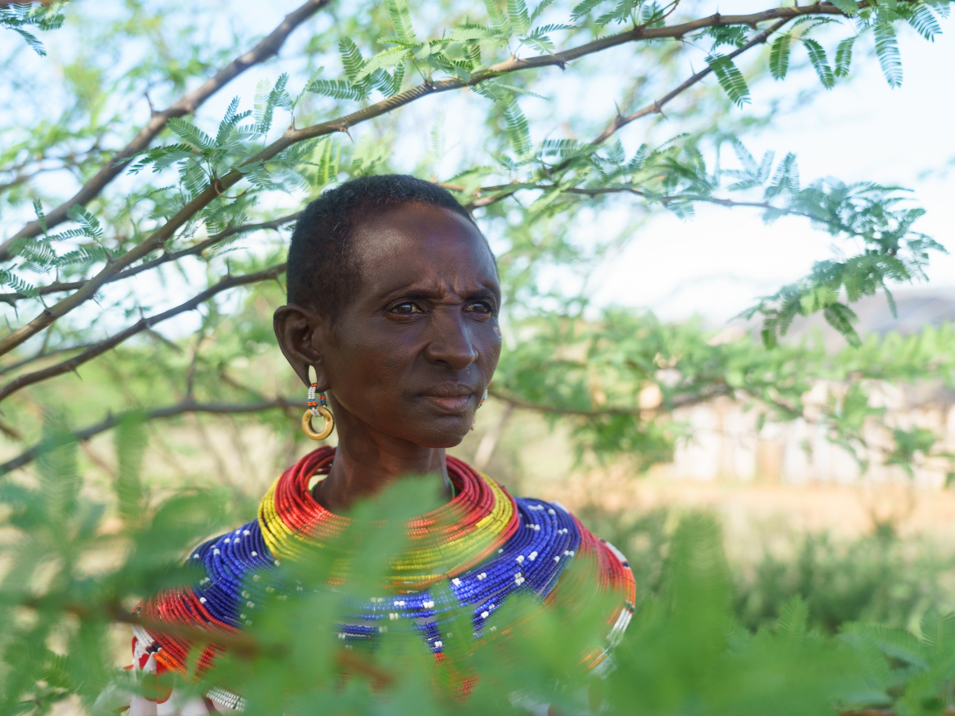 Kenyan survivors challenge UK military over decades of alleged abuses