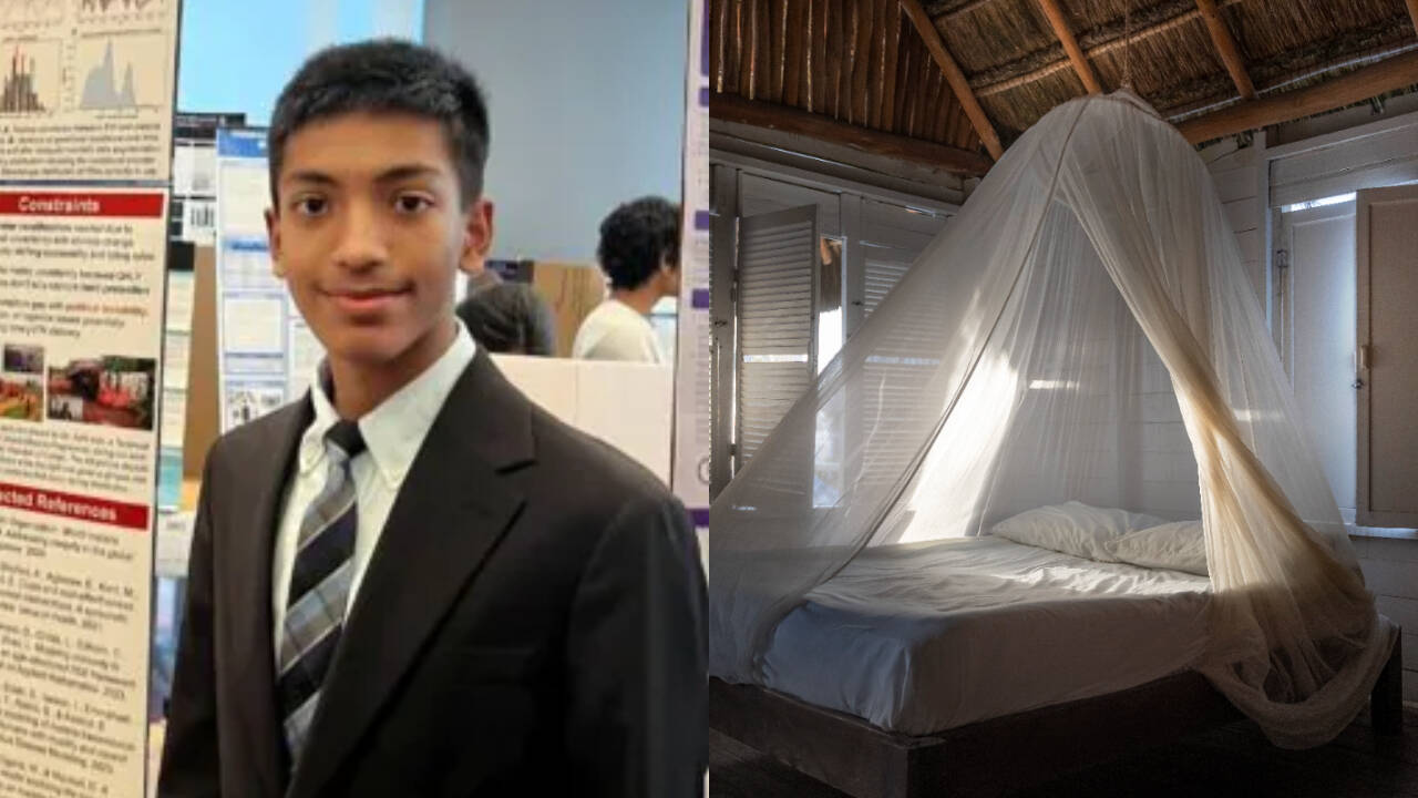 Teen's malaria model wins $50,000 prize for mosquito net strategy