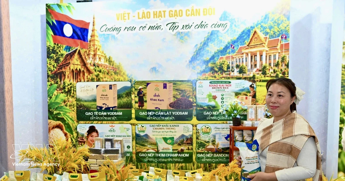 Vietnam and Laos launch product showcase in Hanoi