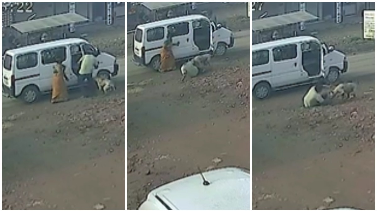 School van driver attacked by stray dog in Gujarat; incident caught on CCTV