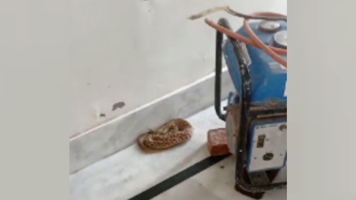 Child's Generator Discovery Triggers Alarm at Uttar Pradesh Home
