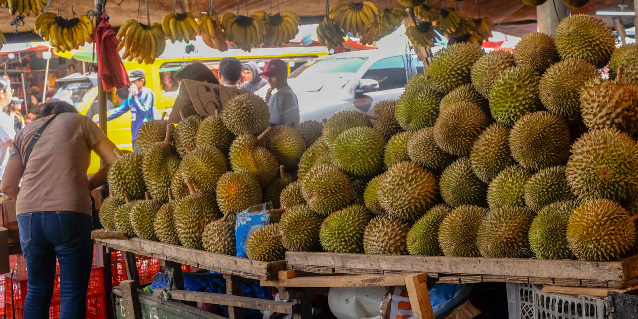 Davao emerges as Southeast Asia's unlikely cultural tourism hub
