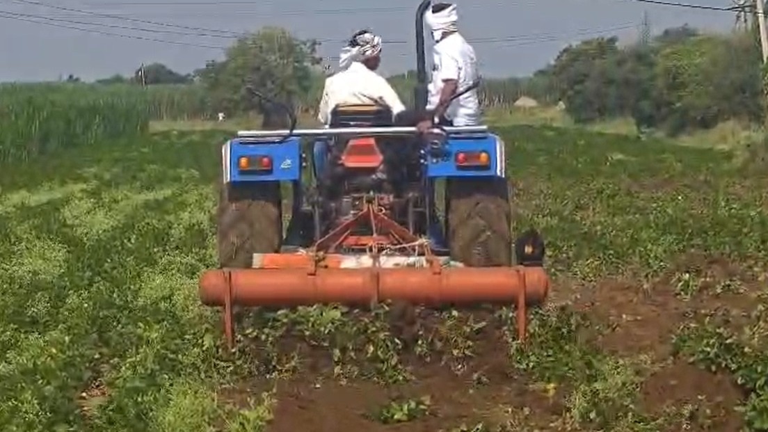 लातूर में किसान ने सूखे से हताश होकर अपनी ही फसल को ट्रैक्टर से कुचल दिया