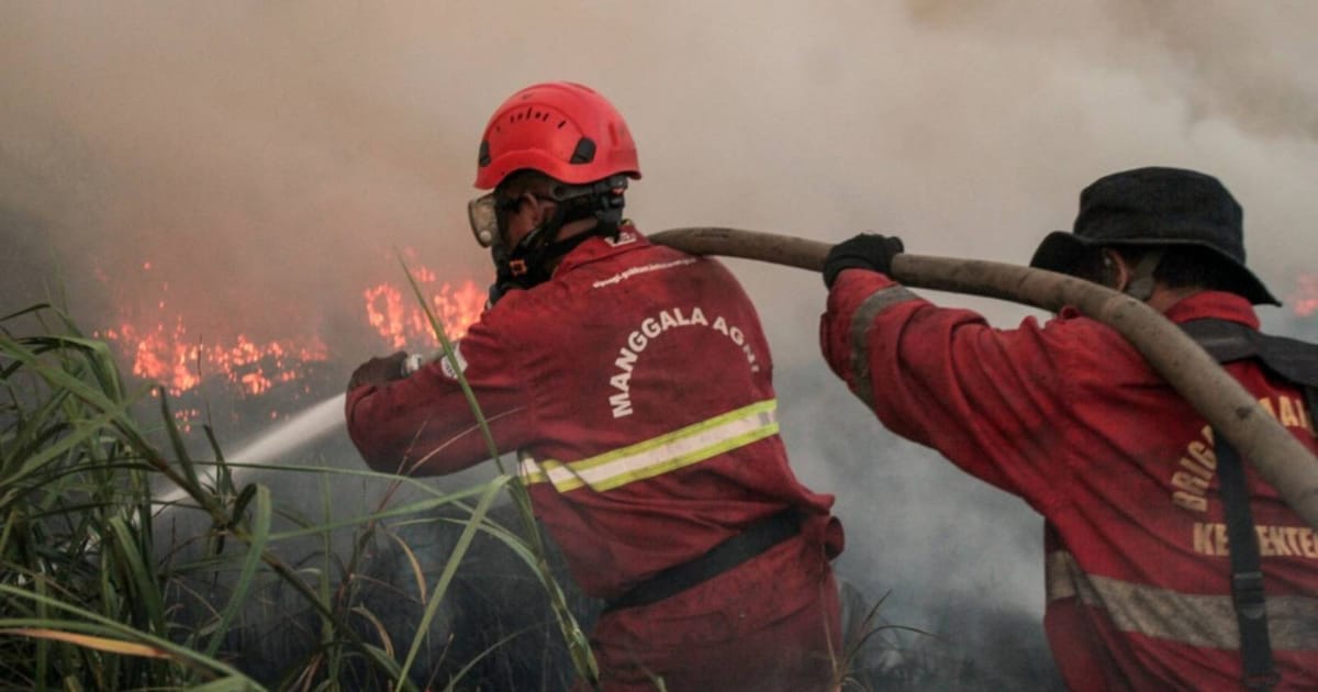 Indonesia mobilises troops as Borneo fires ravage region, hit Malaysia