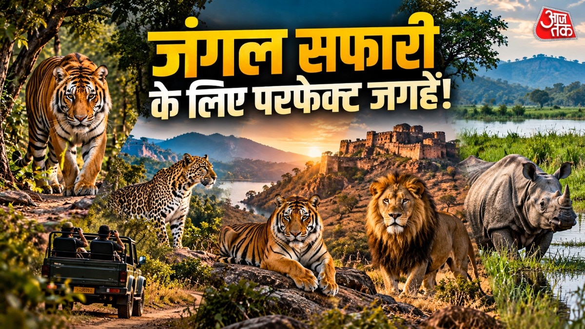 India's premier wildlife sanctuaries offer thrilling safari experiences without overseas travel