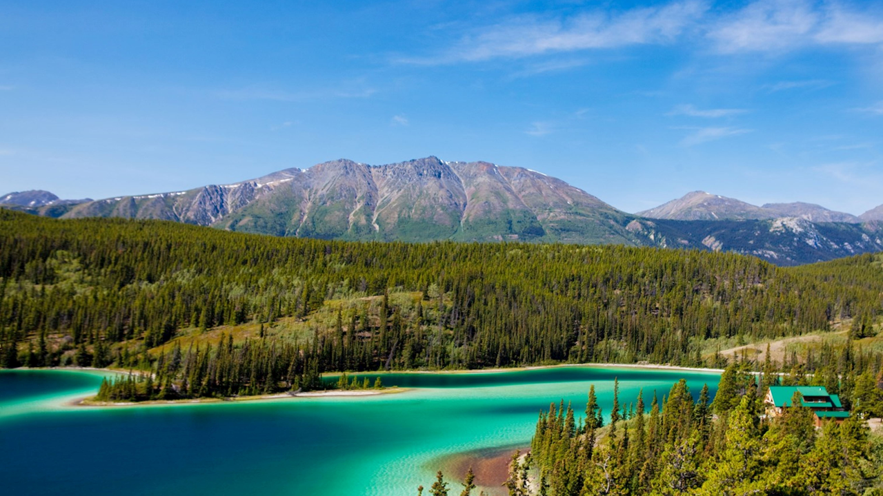 Decades-old Rocky Mountain wildlife corridor project nominated for global conservation prize