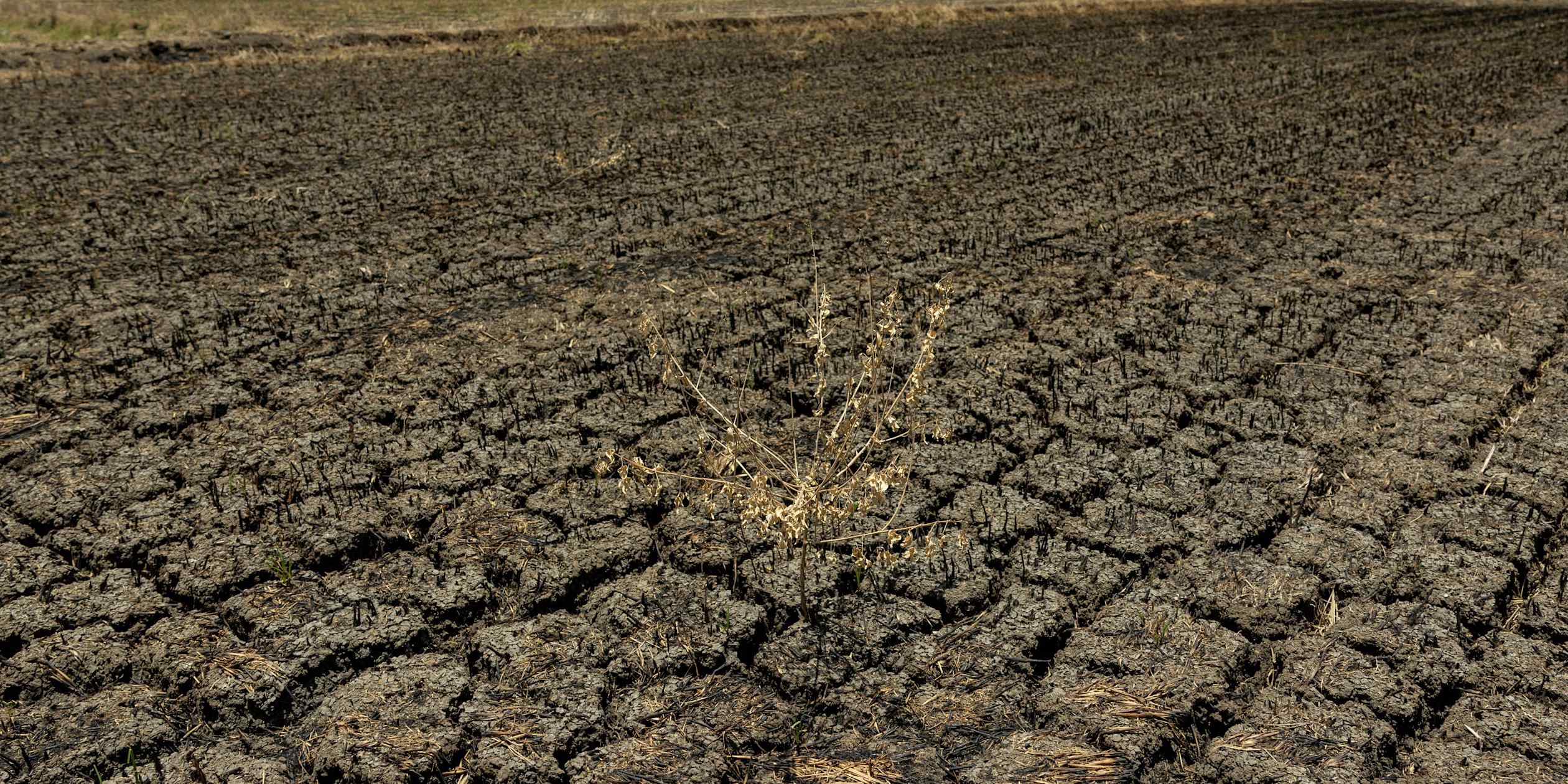 El Niño, AI threaten to deepen Asia's development divide