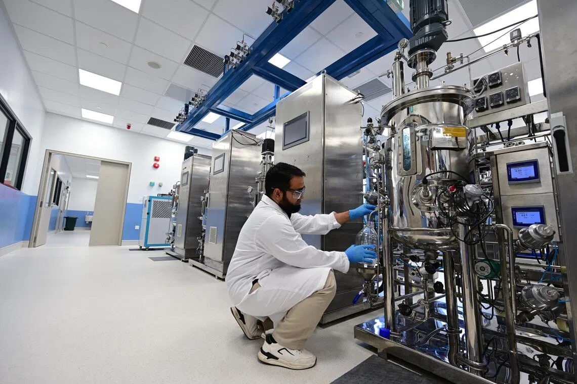Singapore invests $118m in bioeconomy manufacturing push