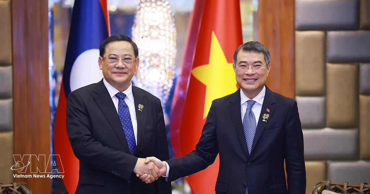 Vietnam, Laos elevate partnership to strategic cohesion level