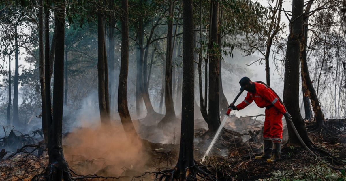 Indonesia yet to respond to Malaysia's firefighter assistance offer