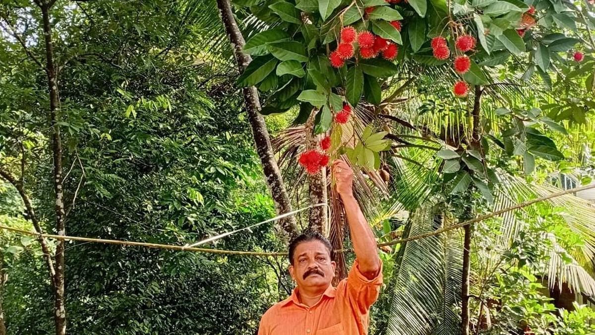 केरल के वकायर में परोपकारी सुधीश कुमार, सेवा को बना दिया जीवन का रास्ता