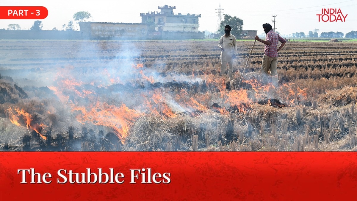 India explores crop residue recycling to curb agricultural burning