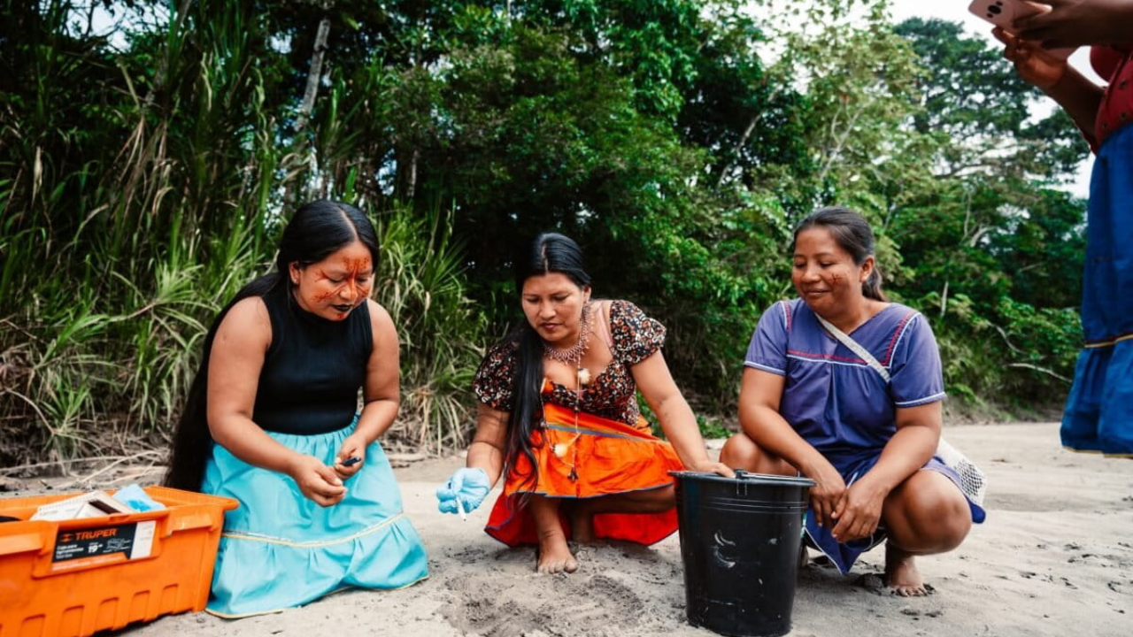 Indigenous Women Lead Conservation Effort to Rescue Amazon River Turtles