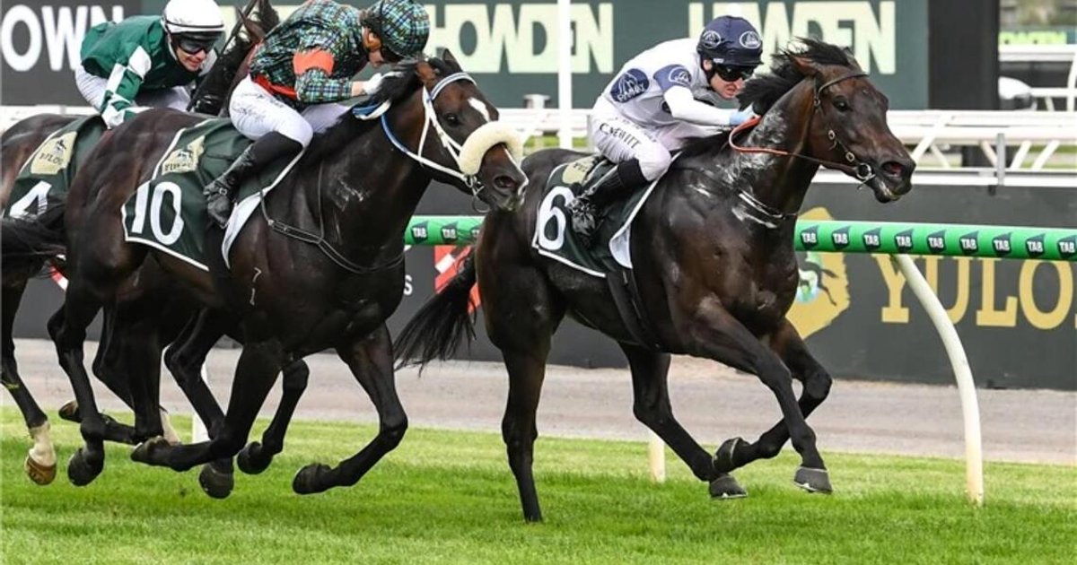 Caballus qualifies for Asia's richest horse racing event