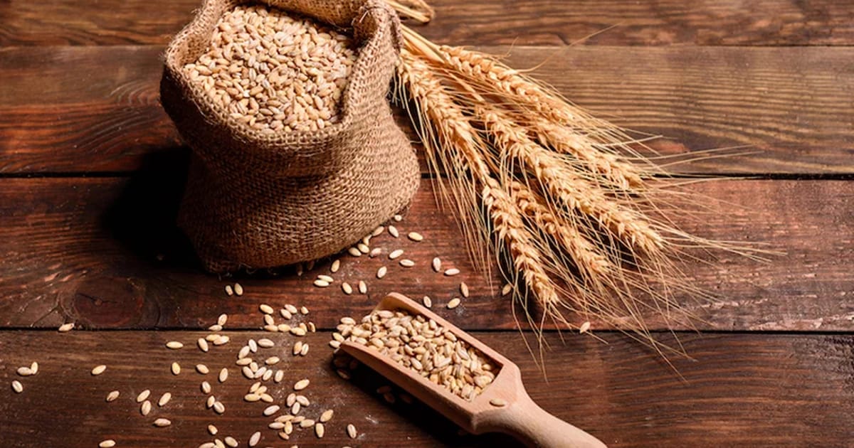 Harga makanan global mencapai tertinggi sejak 2022, FAO amaran risiko bekalan