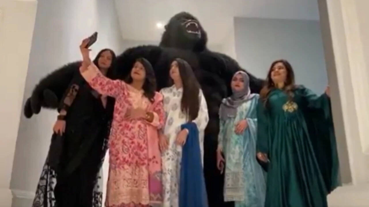 Gorilla costumes become unlikely party stars across Pakistan