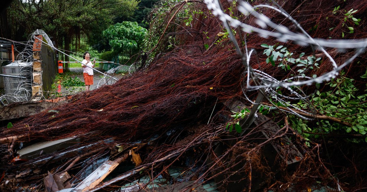 Typhoon Champi leaves trail of destruction across Taiwan