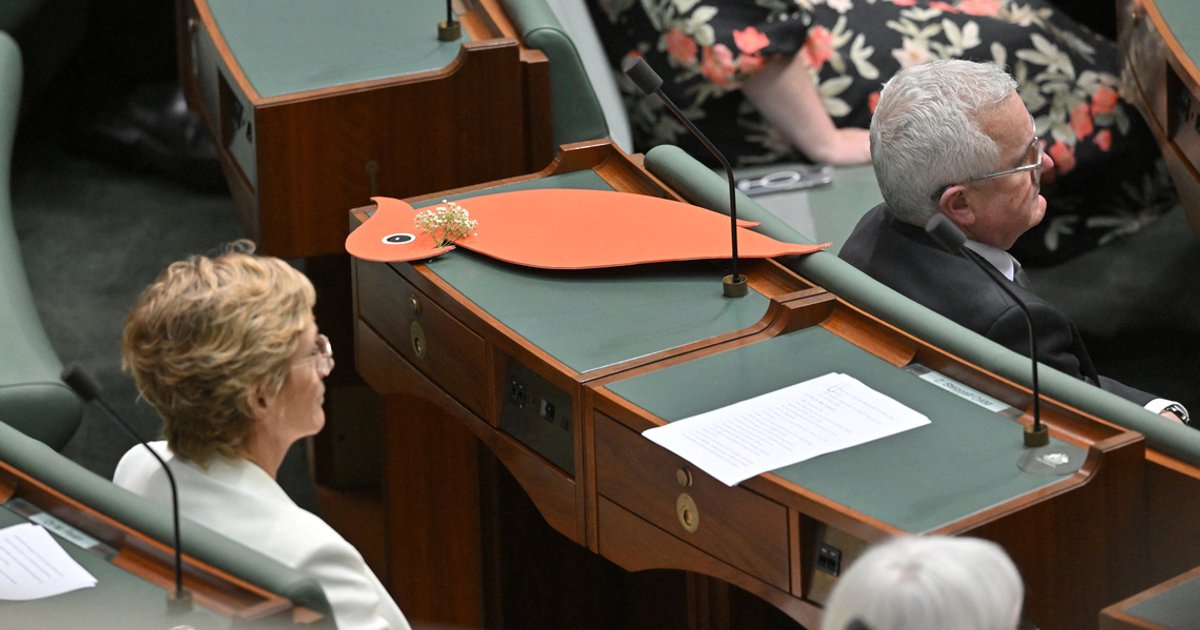 Australian Parliament rallies behind lawmaker after bilateral amputation