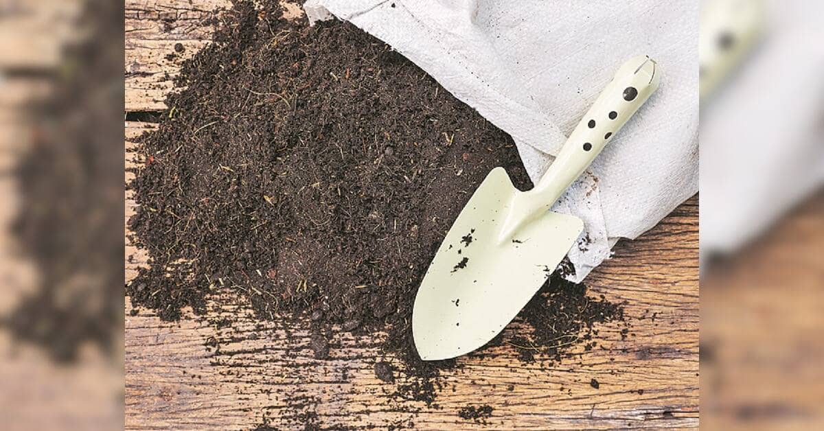 Fertiliser shortage row escalates in Rajasthan ahead of rabi planting
