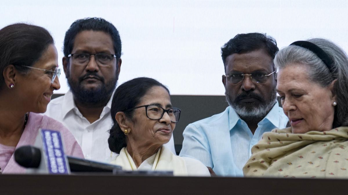 Mamata backs Rahul for PM role as Opposition seeks unity