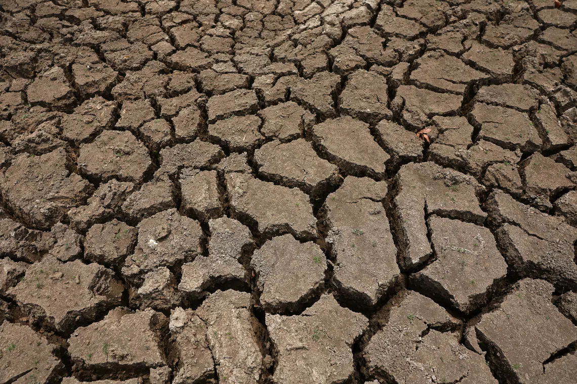 Sri Lanka closes national park core amid severe drought conditions
