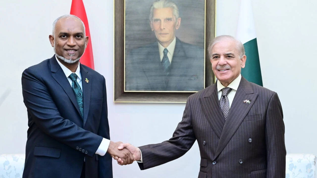 Maldives President urges early Saarc summit during Pakistan visit