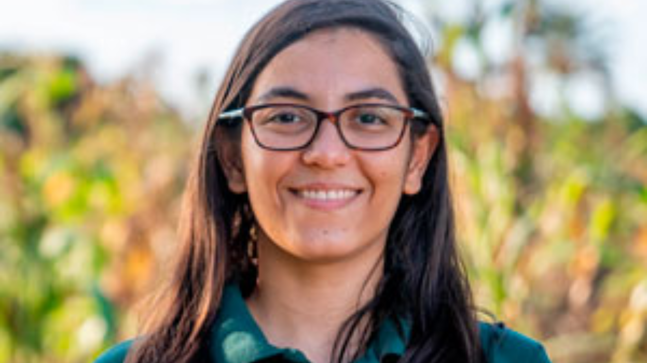 Brazilian Scientist Transforms Sunlight Into Safe Drinking Water Solution