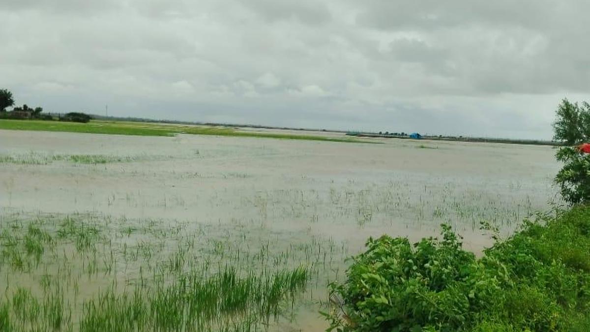 Andhra Pradesh minister pledges relief package for flood-hit Srikakulam farmers