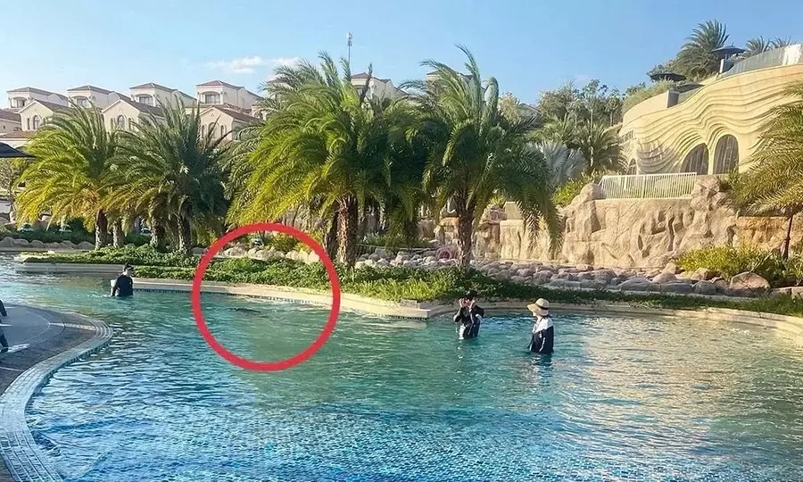 Vietnamese director charged over pool safety design in child's death
