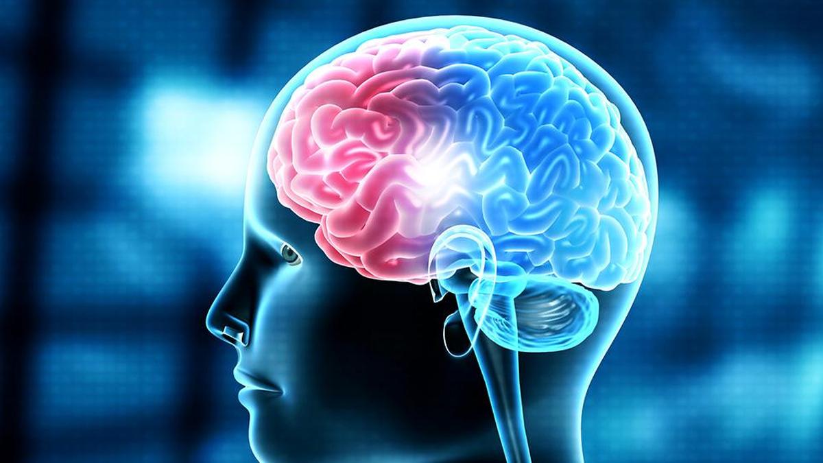 Peripheral inflammation linked to brain damage in rare neurological disorder