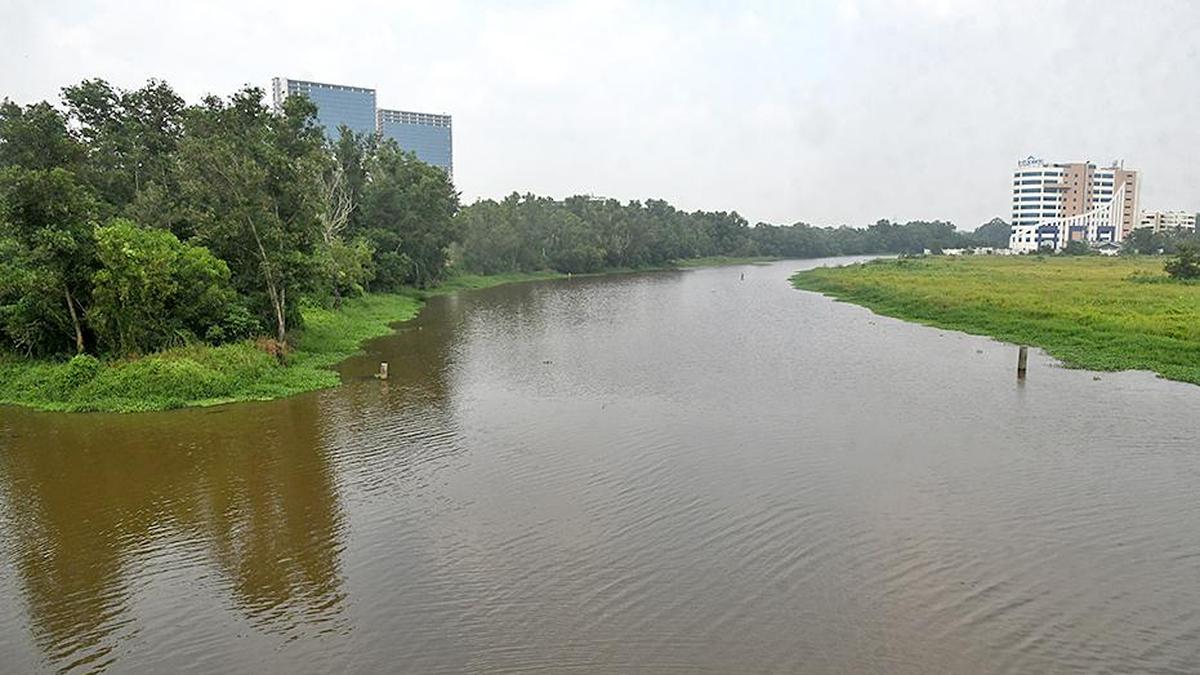 Kerala rivers show dangerous faecal contamination levels in latest water quality tests