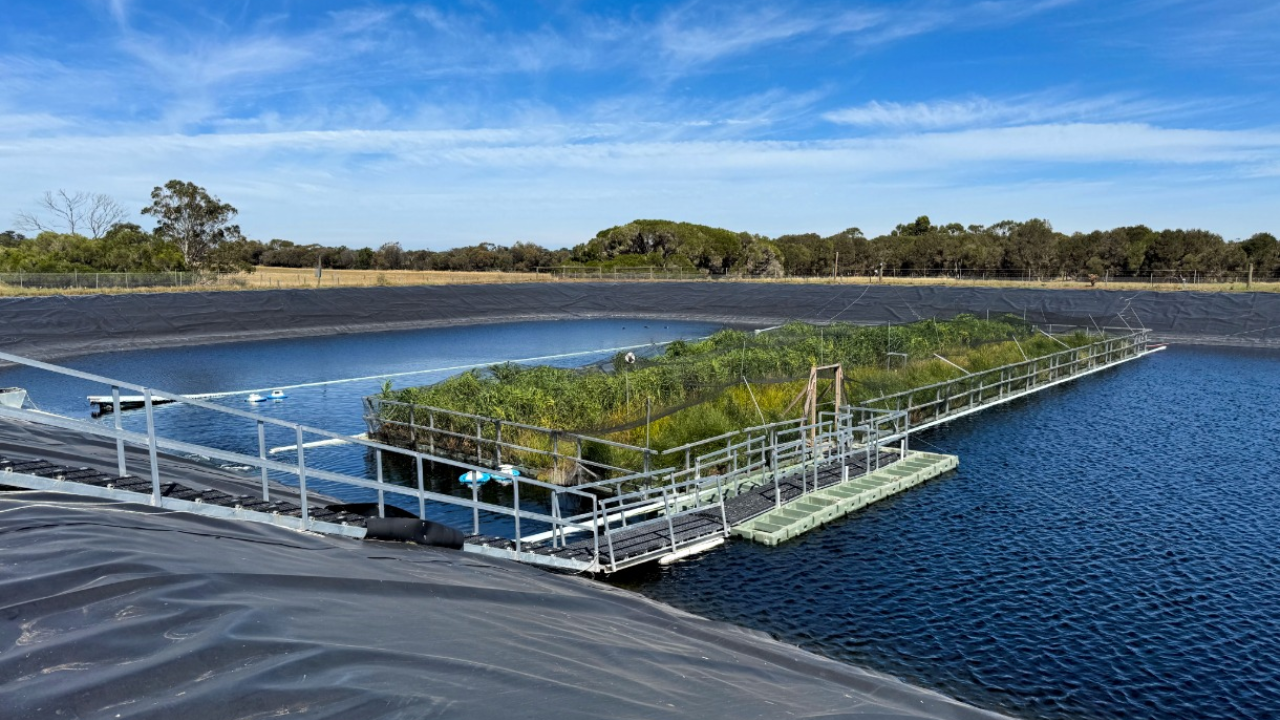 Floating wetlands cut wastewater methane emissions by two-thirds