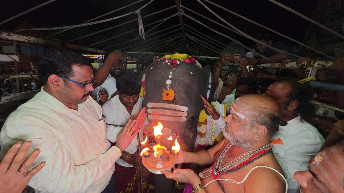 तिरुवन्नामलै मंदिर को असम से मिला आठ साल का हाथी हिरालाल