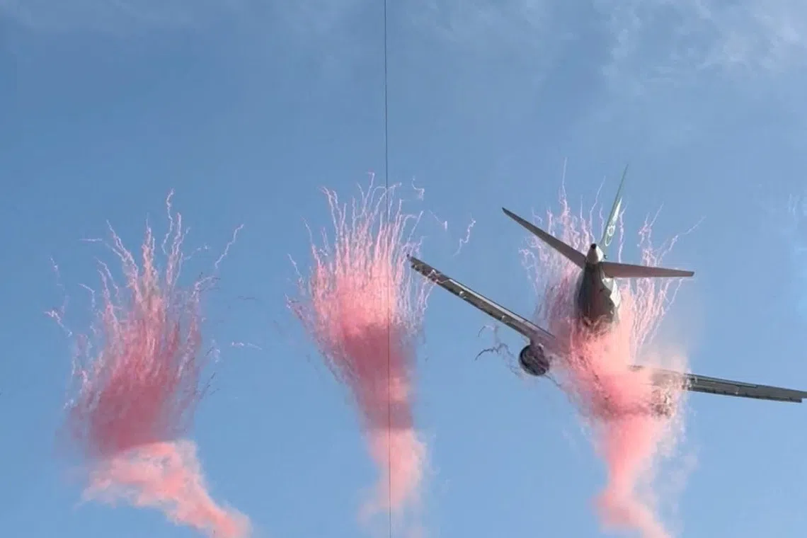 Airlink cancels rugby flyby as regulator scrutinises aerial display