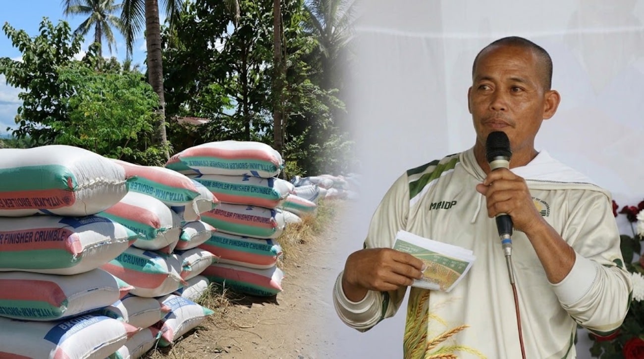 Agusan farmer banks on hybrid rice for P1.26M harvest despite drought