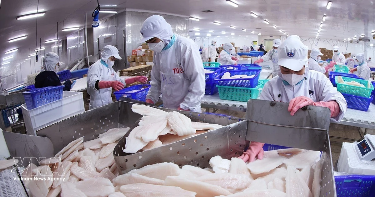 Vietnam, Canada forge deeper partnership across trade and energy