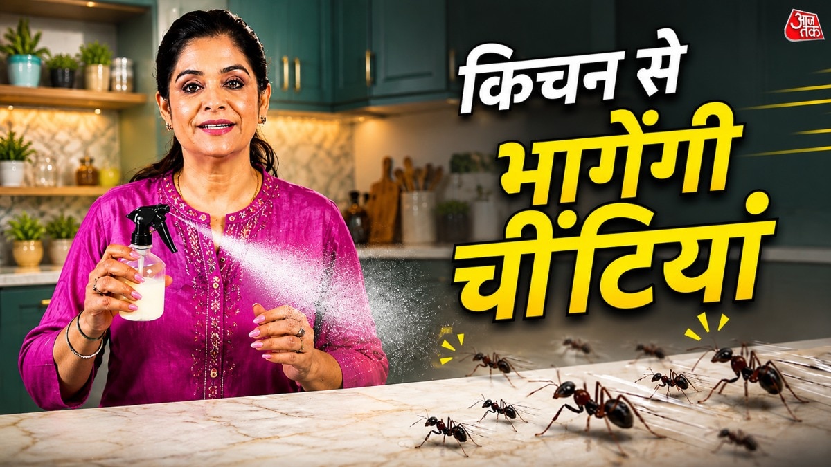 Simple Kitchen Tip Keeps Sugar, Jaggery Fresh and Ant-Free