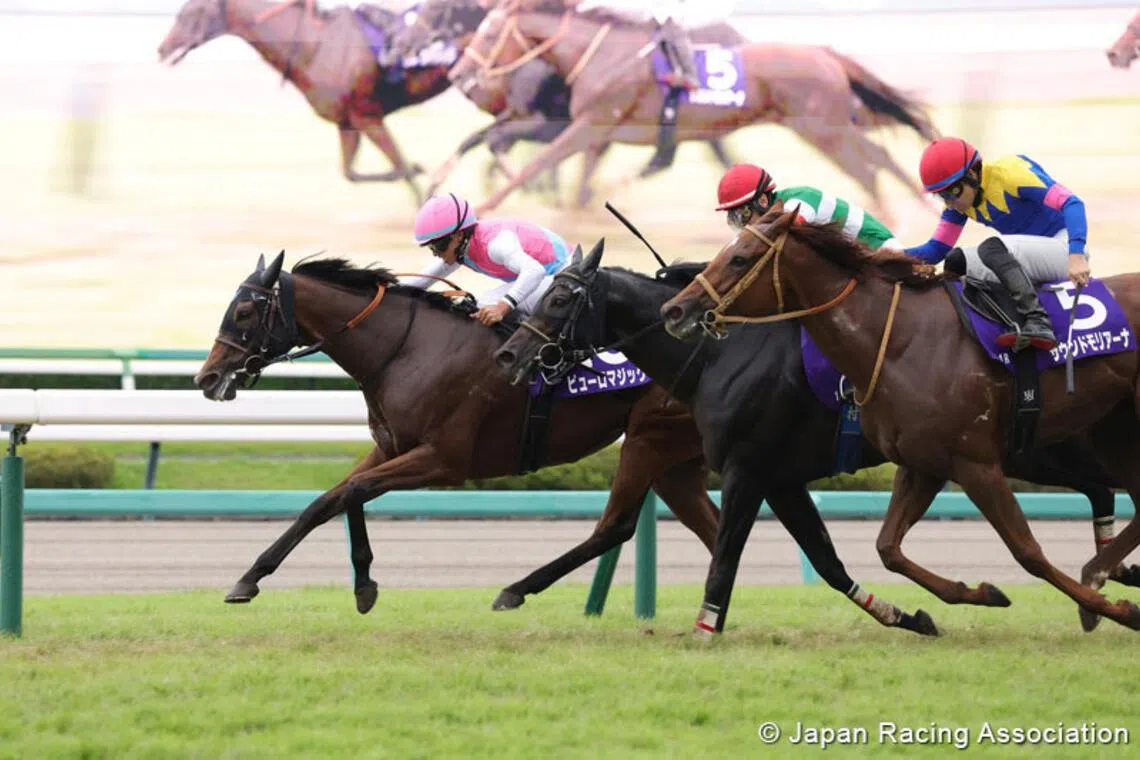Puro Magic claims championship title after dominant tournament run