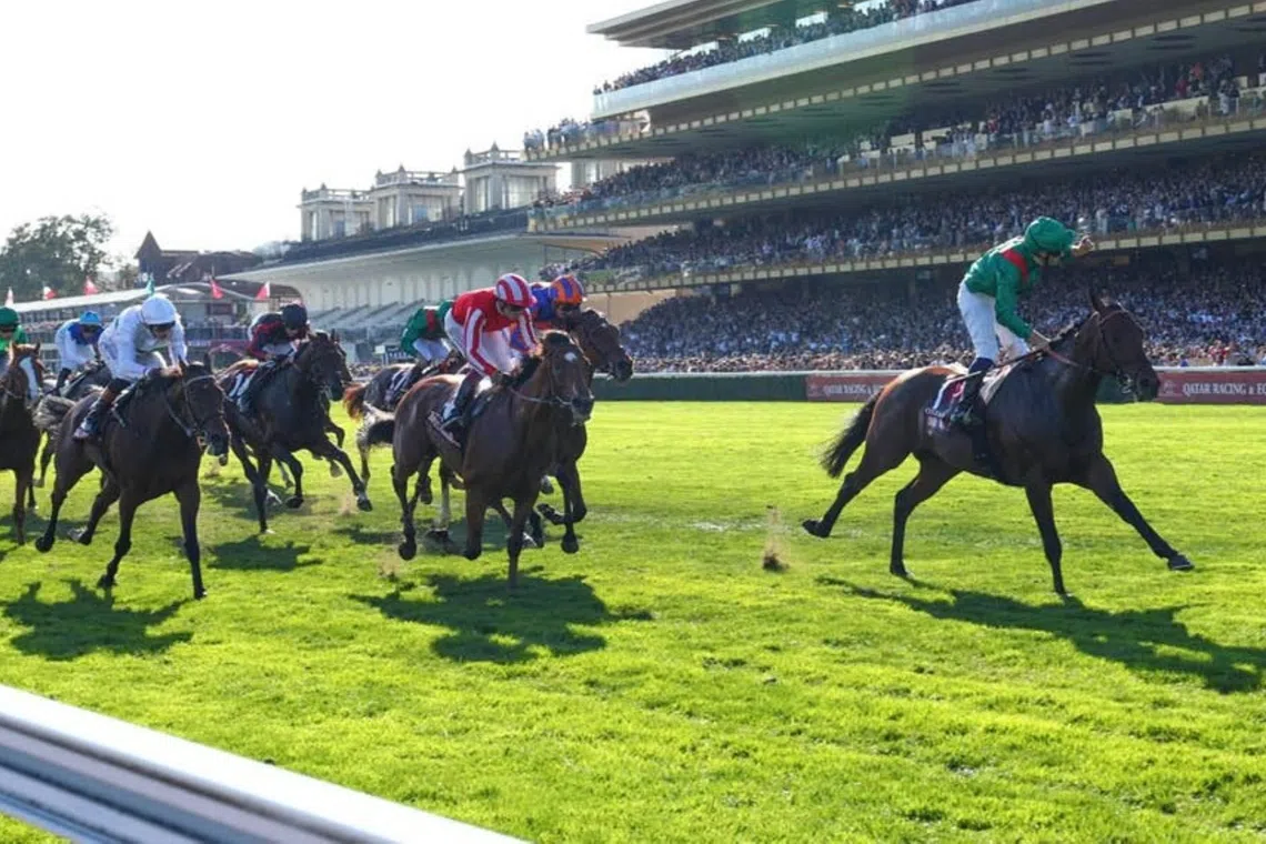 Daryz claims second consecutive Arc victory in dominant display