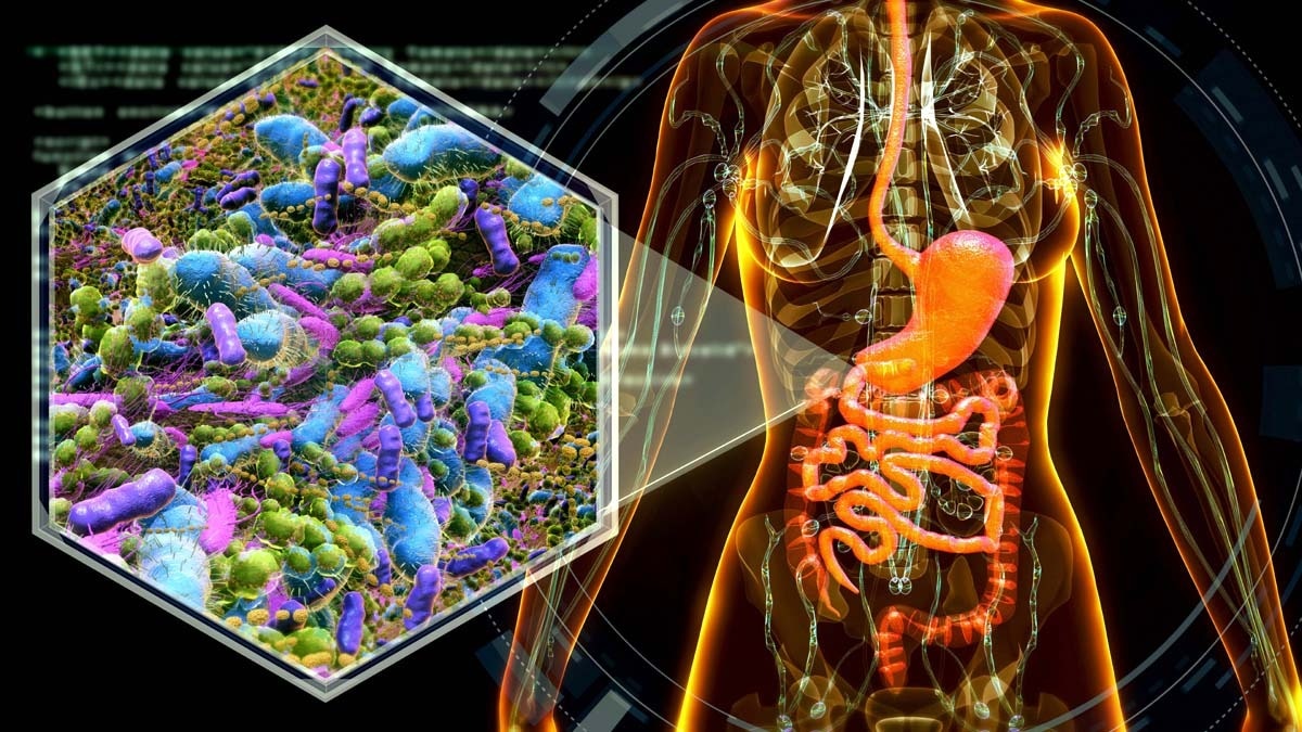 Ten bacterial pathogens pose growing global health threat, experts warn