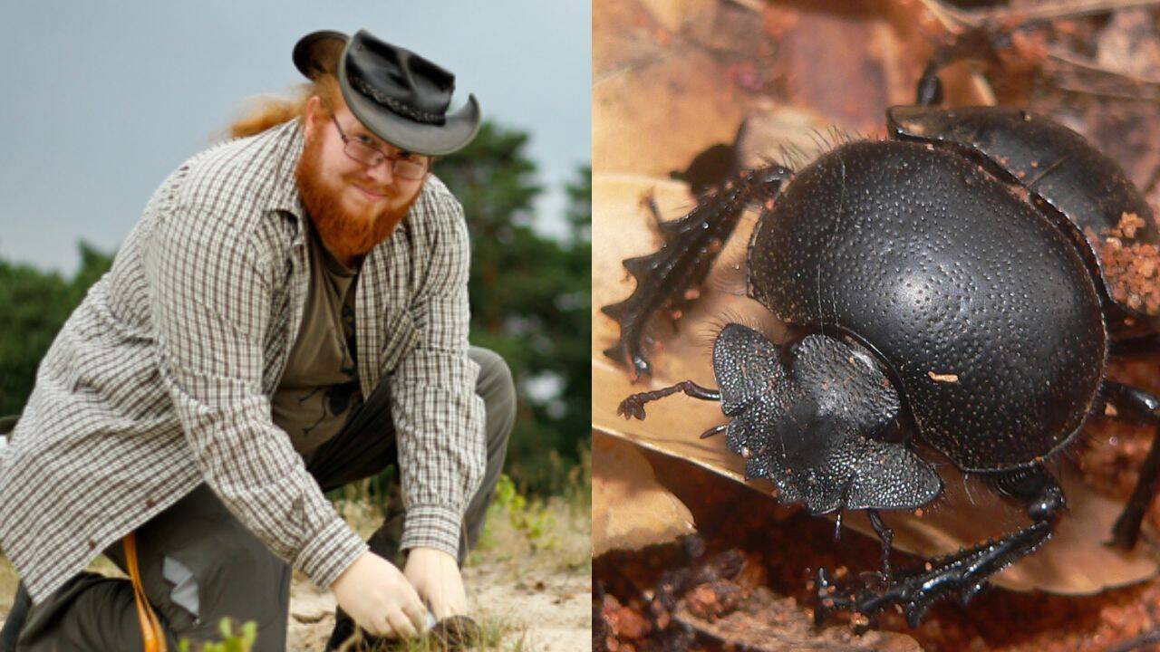 German Scientist Discovers New Dung Beetle Species in Asia