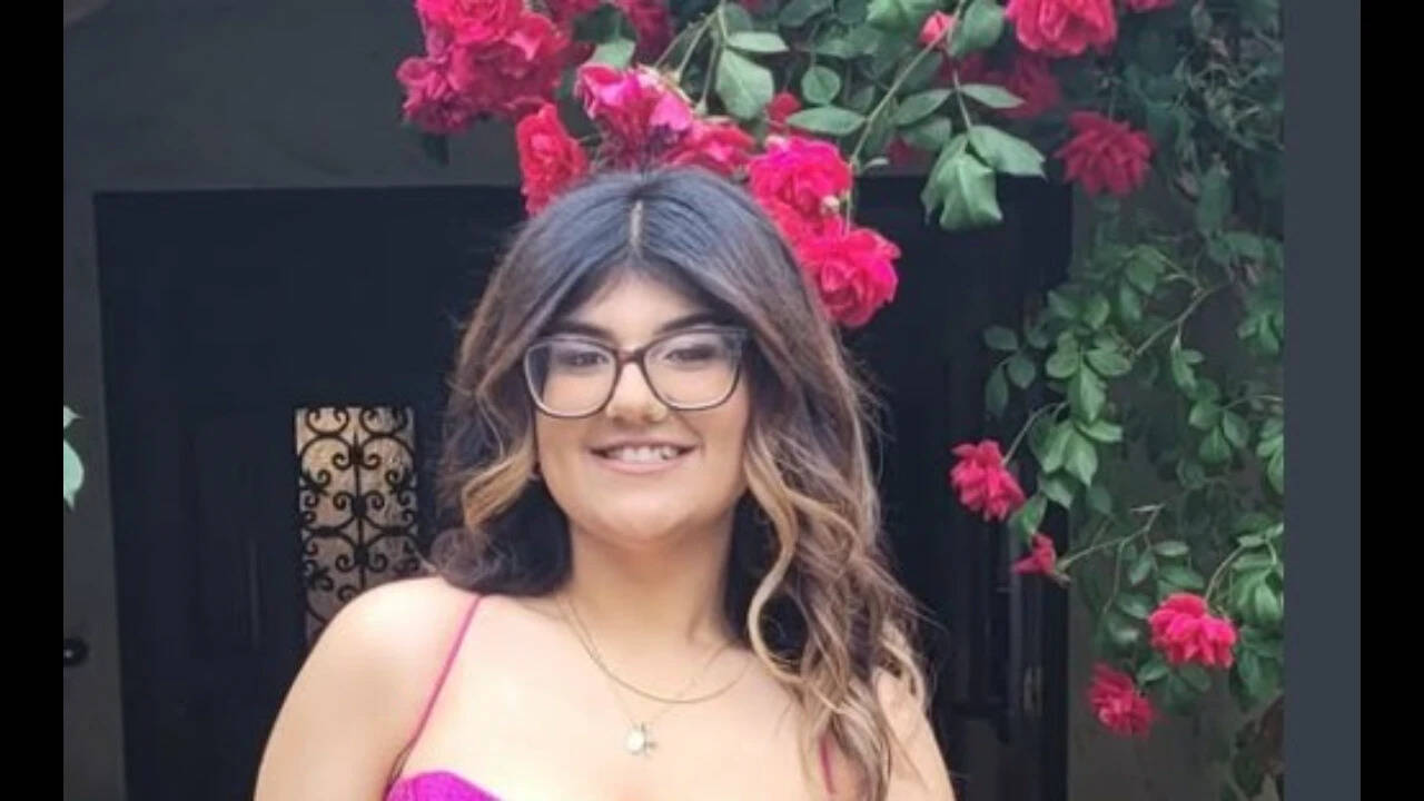 Indian-origin student dies in California coastal car crash