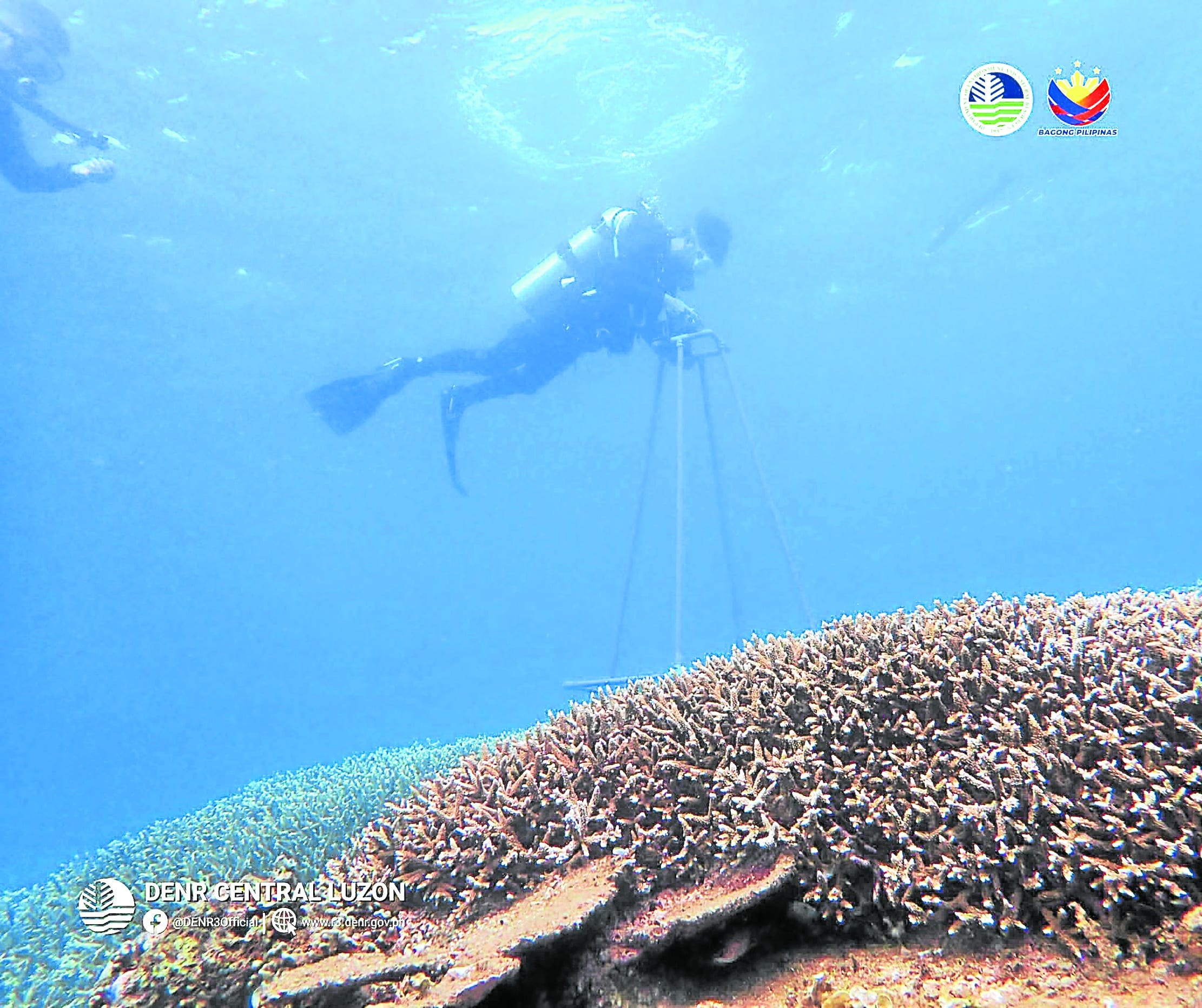 Zambales designates two new marine protected areas to safeguard coral ecosystems