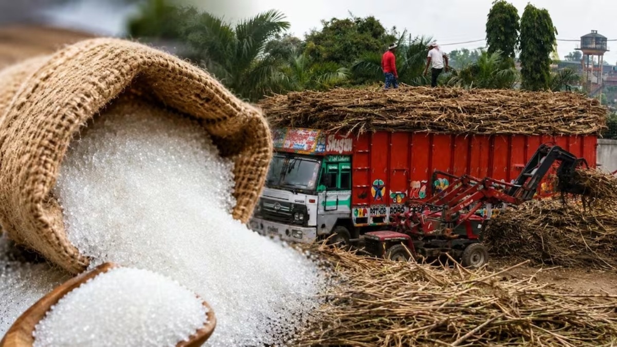 Sugar prices surge in India; ethanol not to blame, says industry body