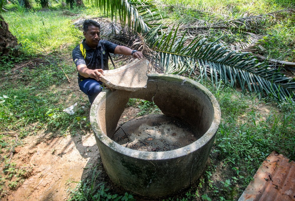 Perhilitan Perak Pantau Gerakan Gajah Selepas Aduan Kerosakan Tanaman