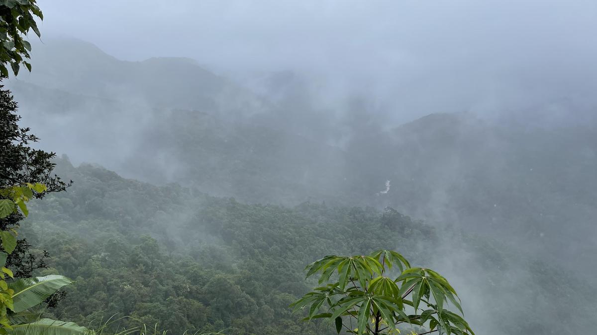 Western Ghats study finds proposed ESA largely overlaps existing protected zones