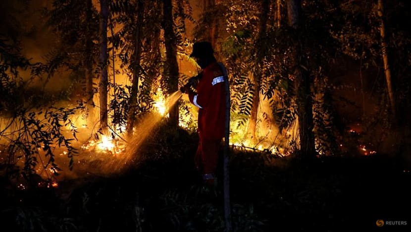 Singapore issues fresh haze prevention notices to Indonesian firms