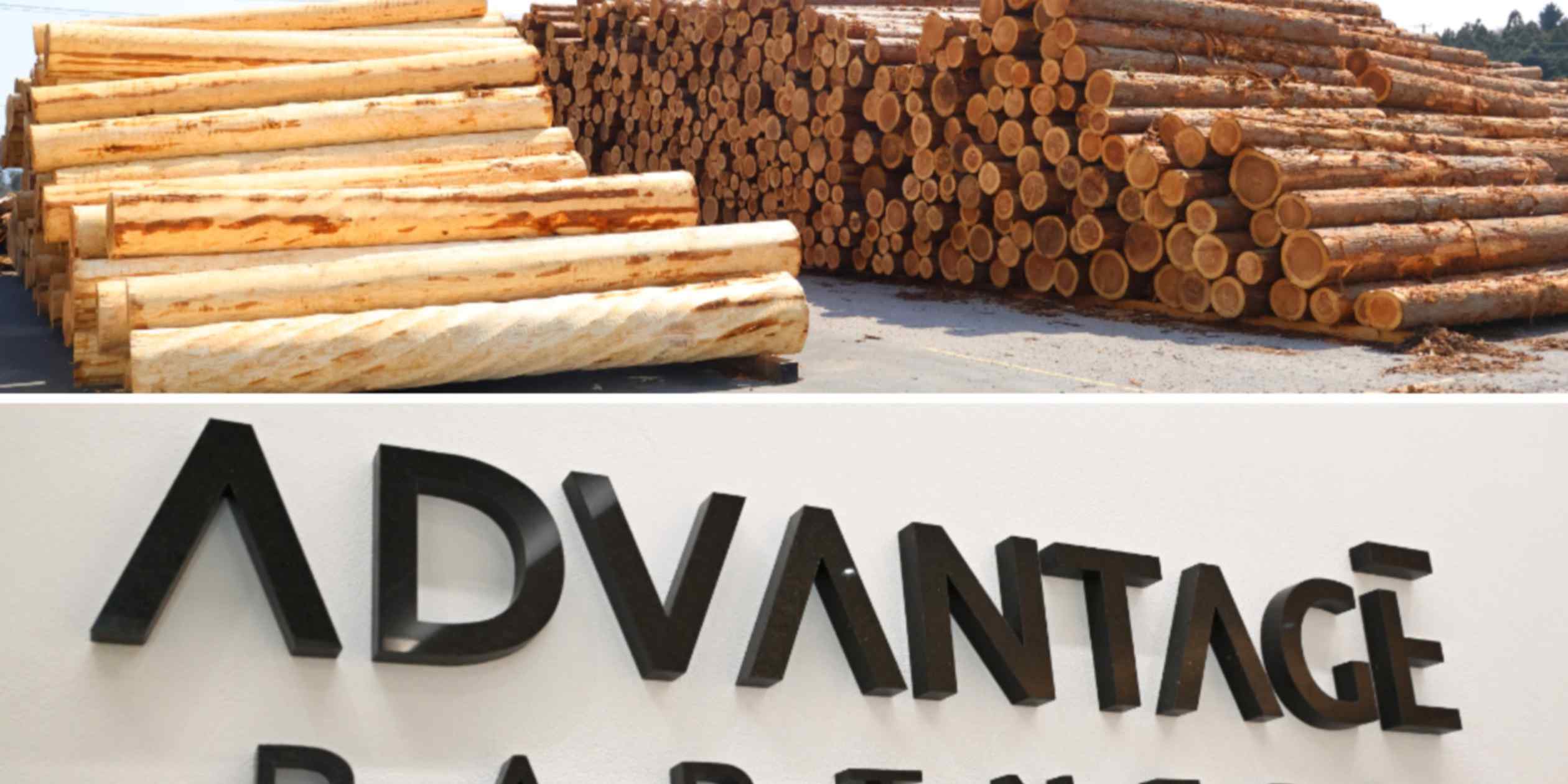 Japan's Advantage Partners launches major forestry investment fund