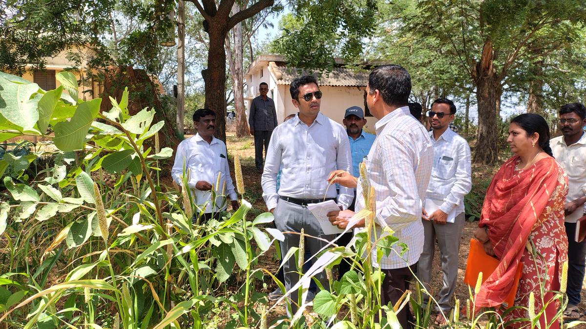 District official directs push to expand sericulture production
